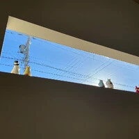 画像241