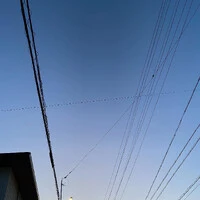 画像345