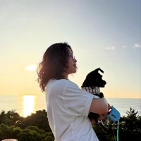 画像443