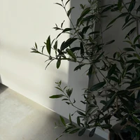 画像482