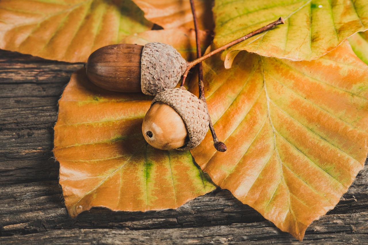 名東区で交通事故後のサポートは整骨院Lykkeにお任せ！